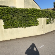 Ravalement et peinture de façade à Perpignan et alentours