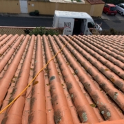 Nettoyage de toiture bages traitement anti mousse WB toit concept